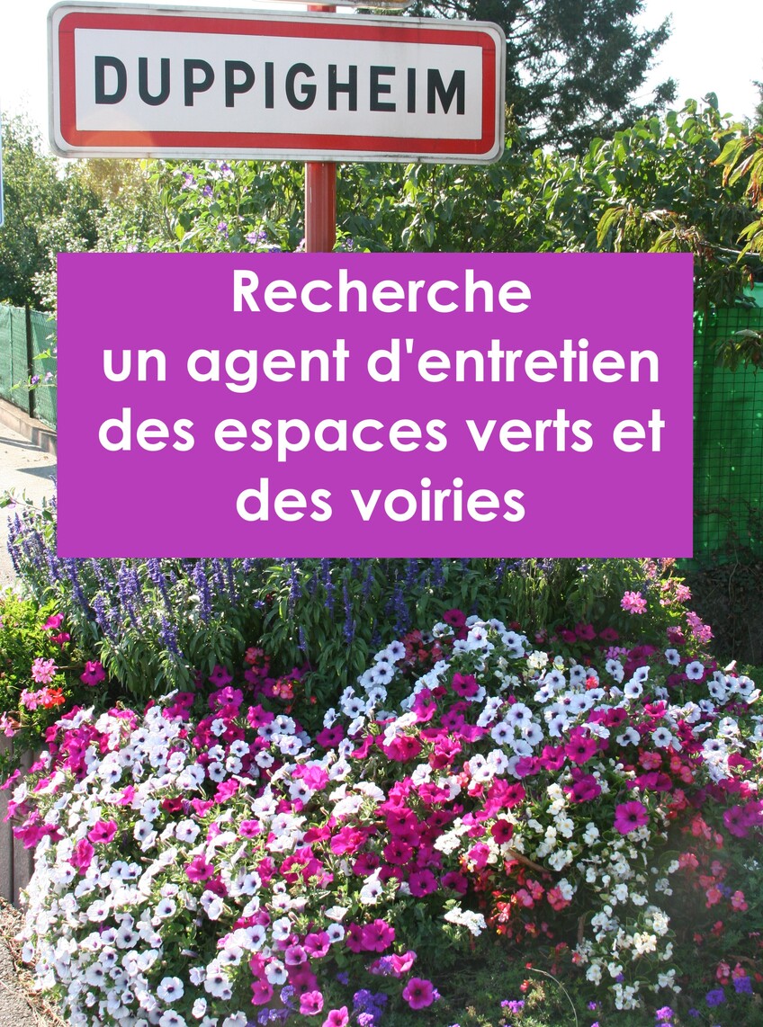 OFFRE D'EMPLOI : AGENT D'ENTRETIEN DES ESPACES VERTS ET DES VOIRIES.
