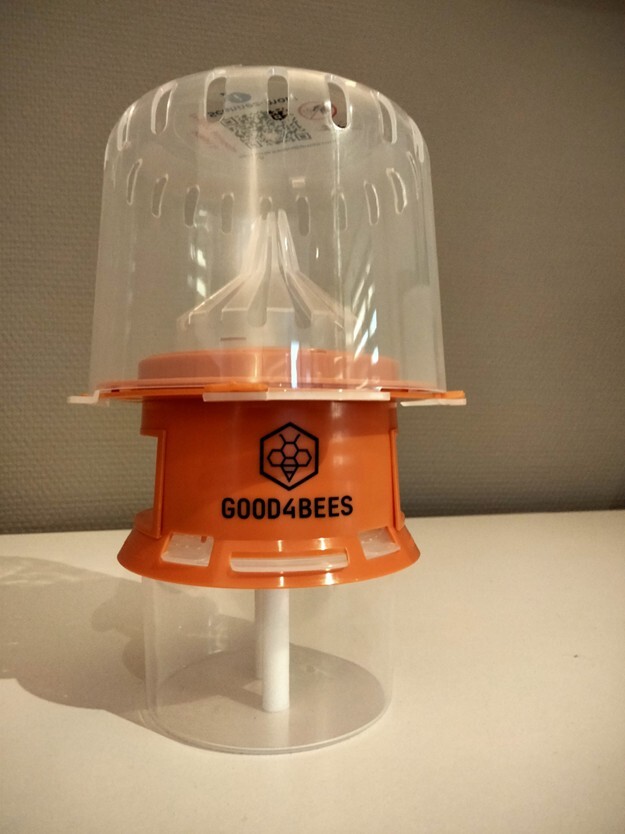 DISTRIBUTION DE PIEGES A FRELONS ASIATIQUES